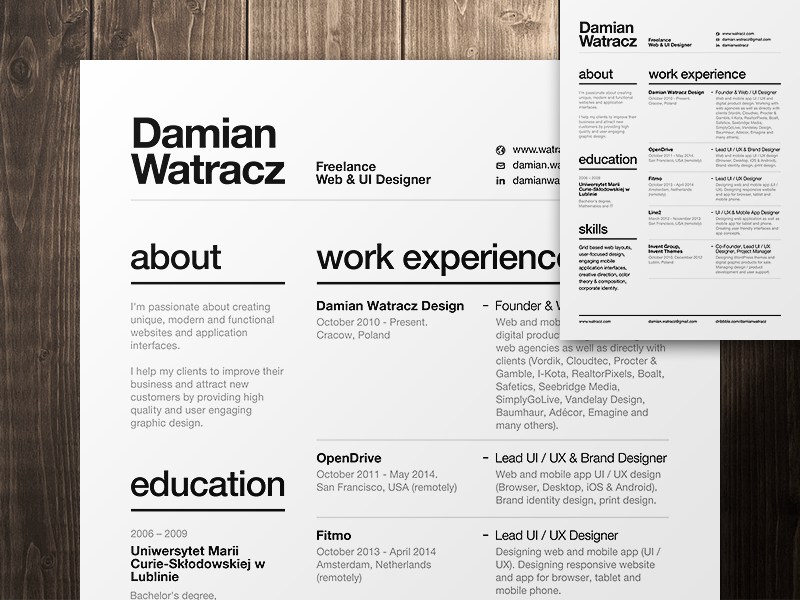 curriculum vitae 2